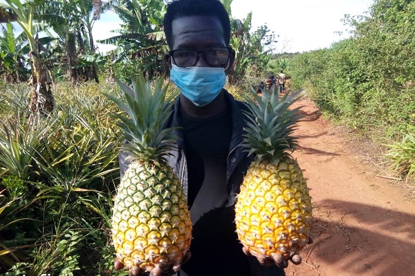 Ugandan man carrying two pineapples